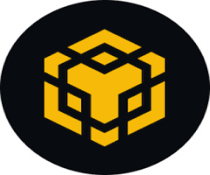 Binance Smart Chain {BSC}